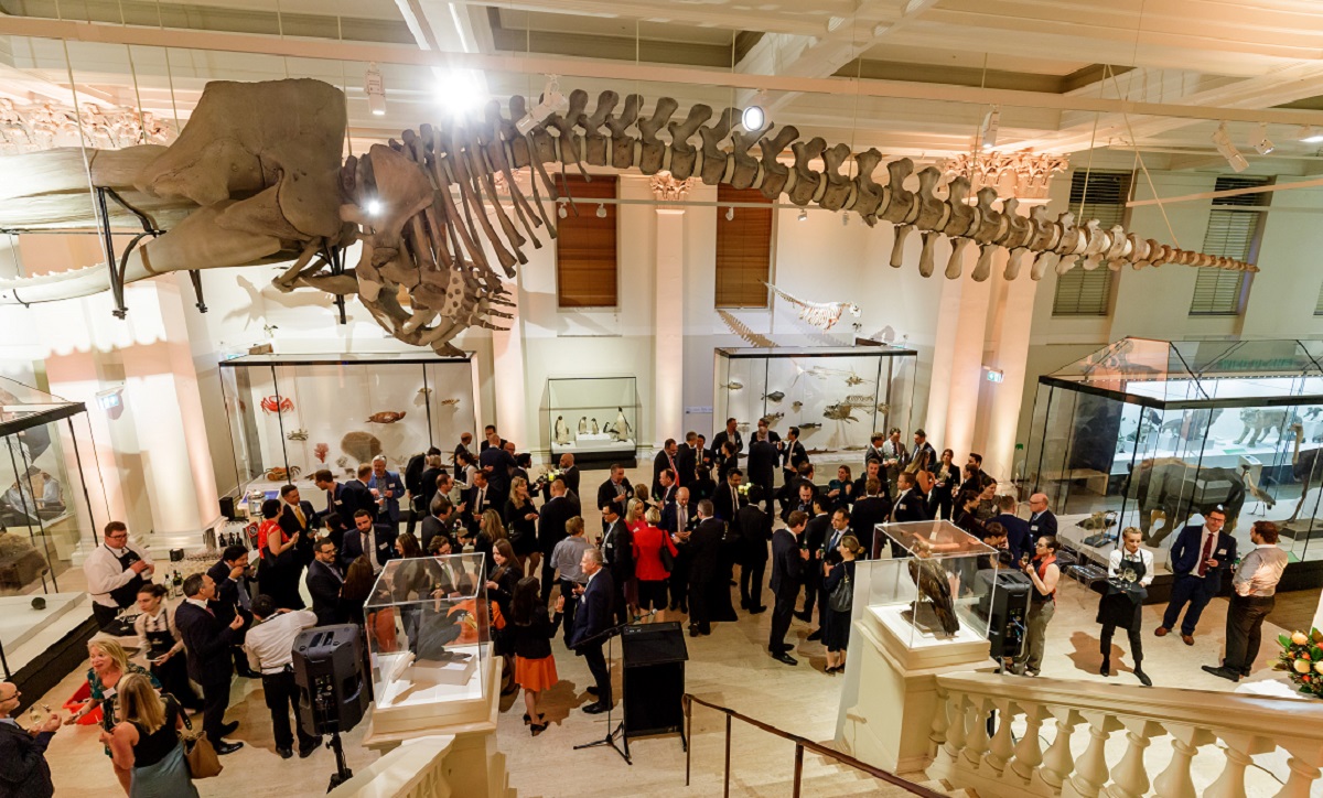 Large crowd of business people standing underneath the skeleton of a dinosaur at the Australia National museum for a corporate business even hosted by Augusta ventures